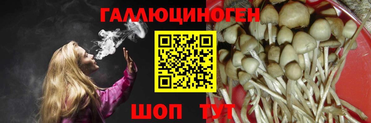 Галлюциногенные грибы Psilocybe  Псилоцибиновые грибы Psilocybine cubensis  продажа наркотиков  Калач-на-Дону  Вход с VPN 